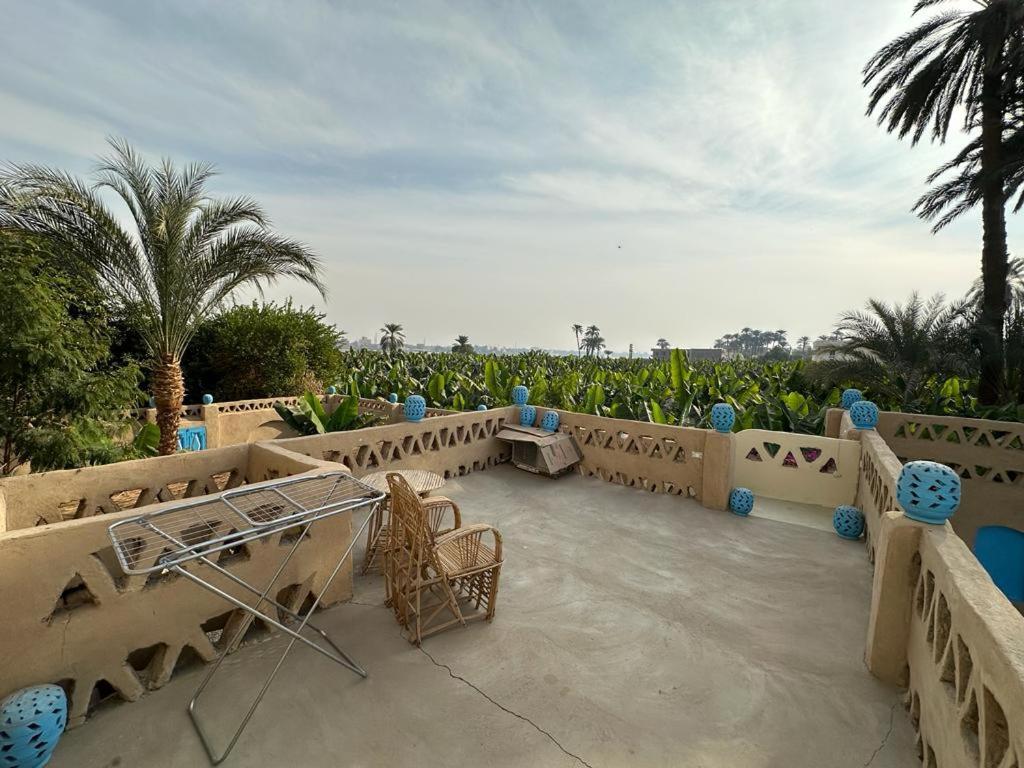 Villa Rebecca Professor'S Paradise Luxor Exteriér fotografie