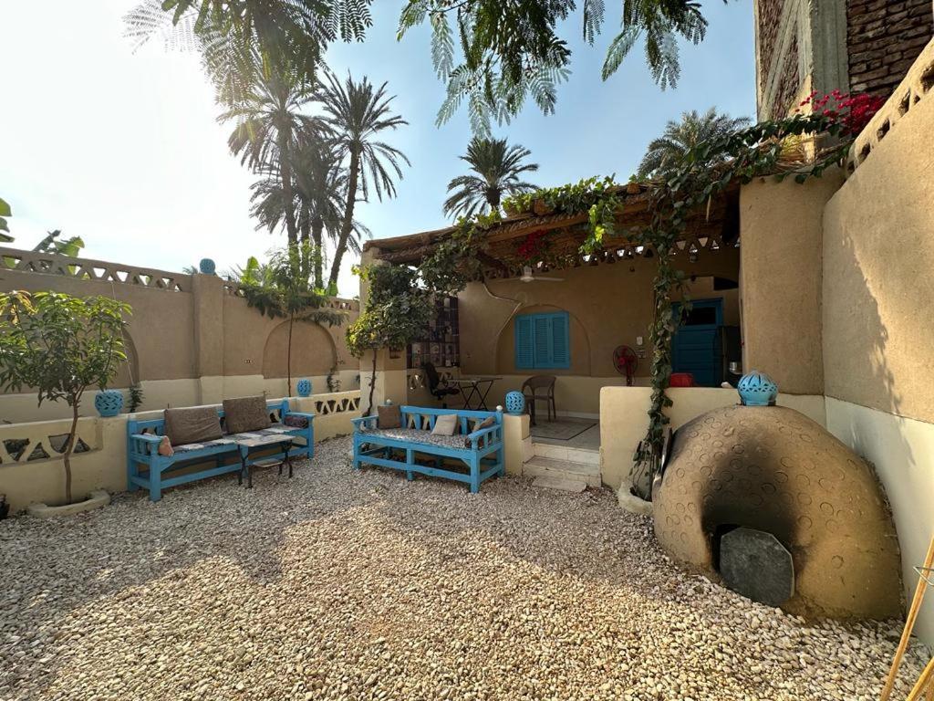 Villa Rebecca Professor'S Paradise Luxor Exteriér fotografie