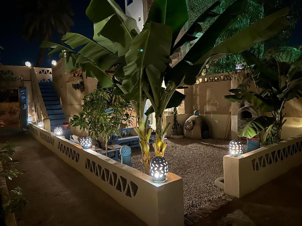 Villa Rebecca Professor'S Paradise Luxor Exteriér fotografie